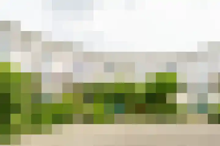 Lijzijde 33 Amersfoort thumbnail 26