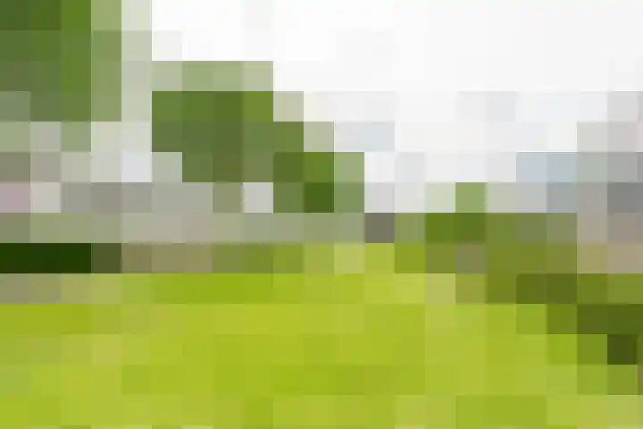 Lijzijde 33 Amersfoort thumbnail 27