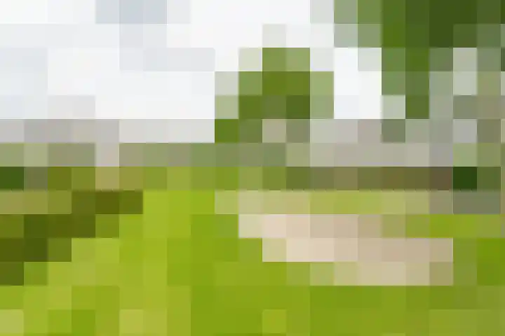 Lijzijde 33 Amersfoort thumbnail 28