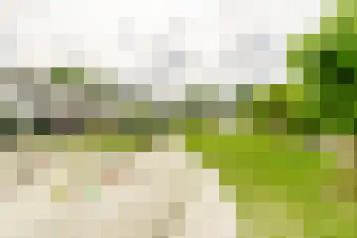 Lijzijde 33 Amersfoort thumbnail 29