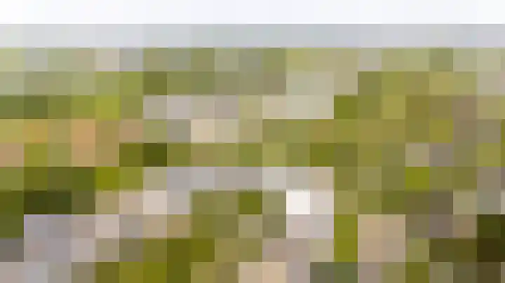 Lijzijde 33 Amersfoort thumbnail 30