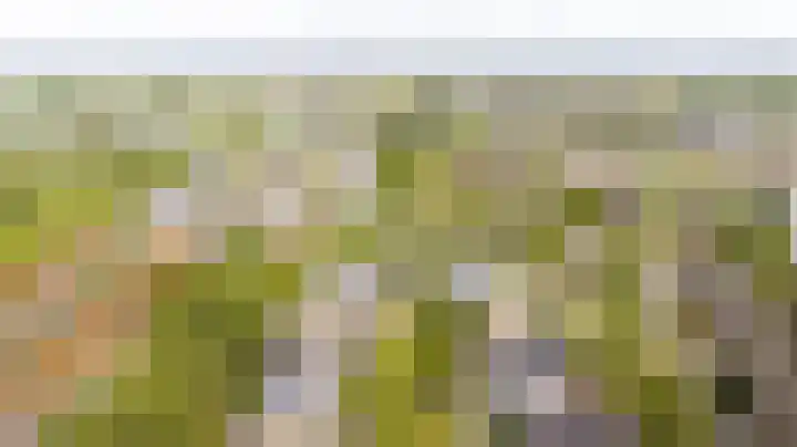 Lijzijde 33 Amersfoort thumbnail 31