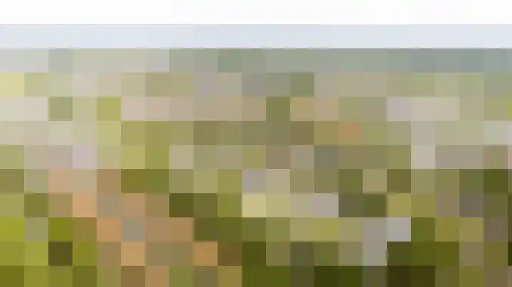 Lijzijde 33 Amersfoort thumbnail 32