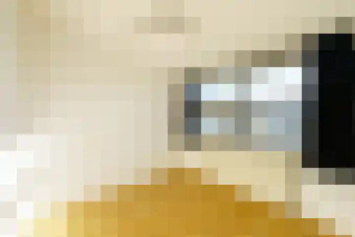 Lijzijde 35 Amersfoort thumbnail 15
