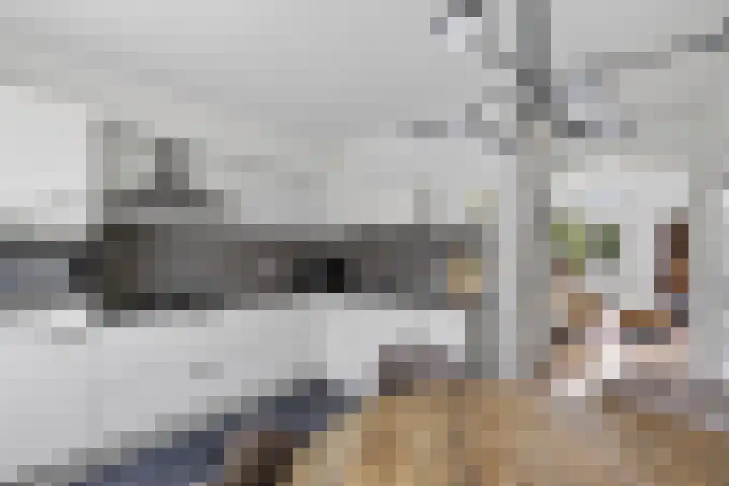 Lijzijde 4 Amsterdam thumbnail 15