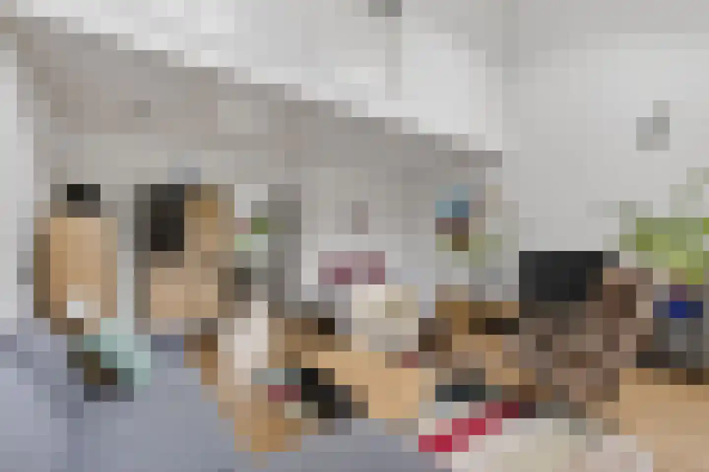 Lijzijde 4 Amsterdam thumbnail 22