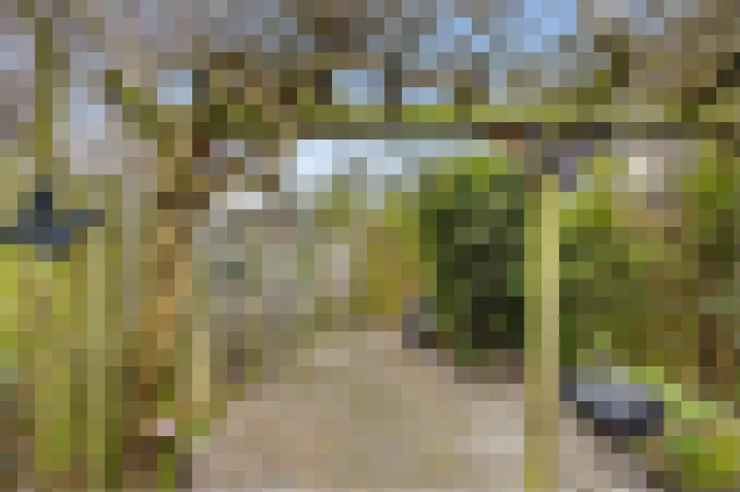 Lijzijde 4 Amsterdam thumbnail 26