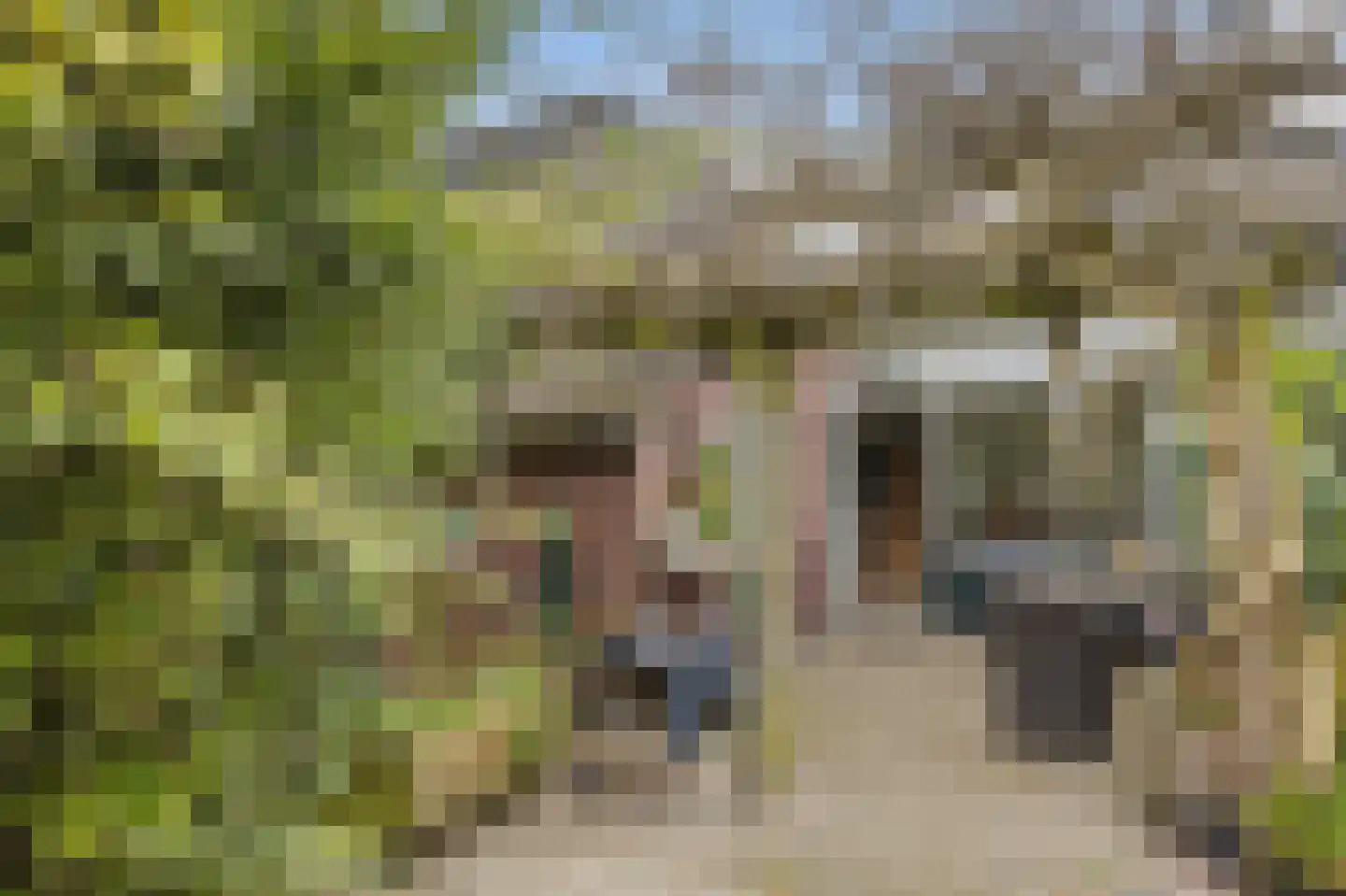 Lijzijde 4 Amsterdam thumbnail 5