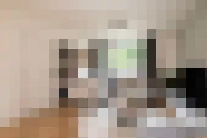 Lijzijde 42 Dronten thumbnail 11