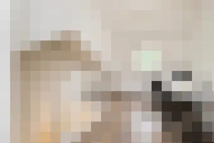 Lijzijde 42 Dronten thumbnail 24