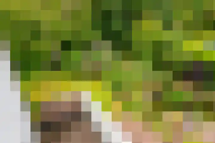 Lijzijde 79 Amsterdam thumbnail 35