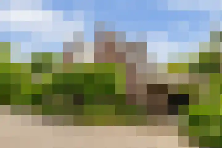 Lijzijde 79 Amsterdam thumbnail 4