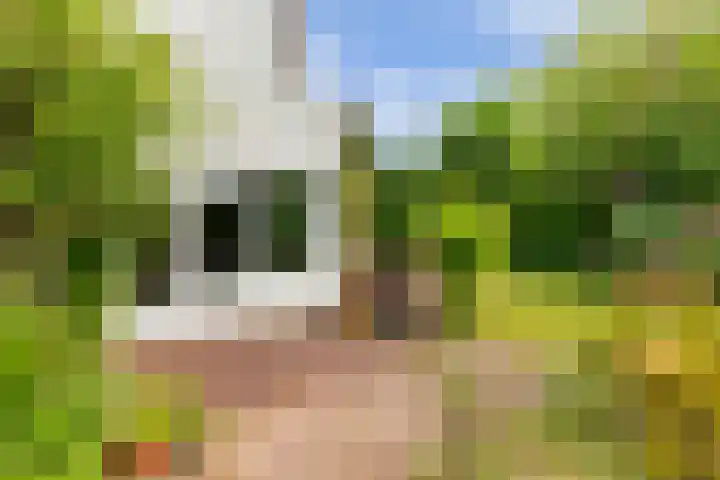 Lijzijde 79 Amsterdam thumbnail 42