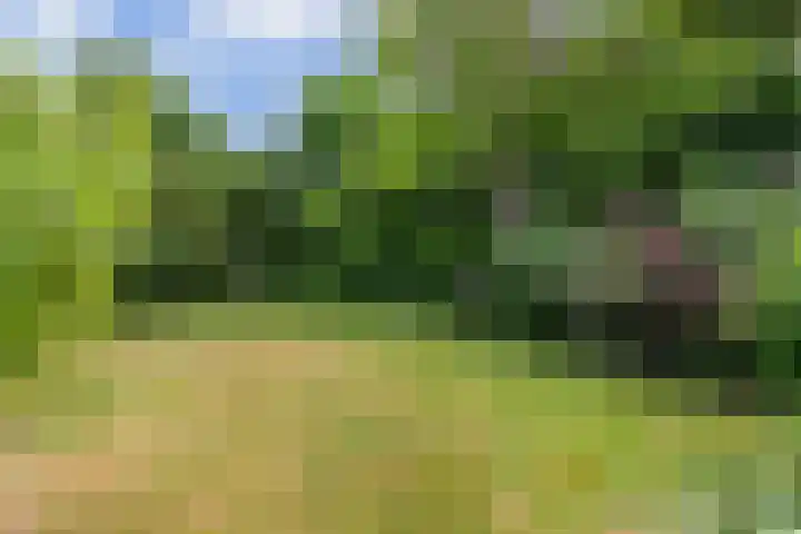 Lijzijde 79 Amsterdam thumbnail 43