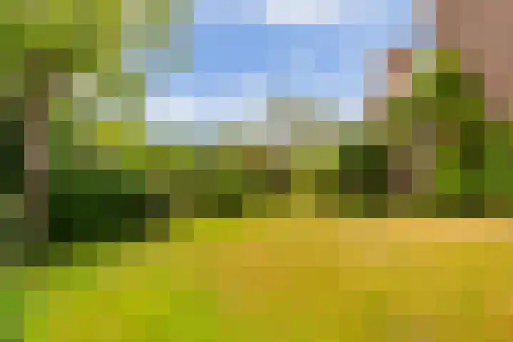 Lijzijde 79 Amsterdam thumbnail 47