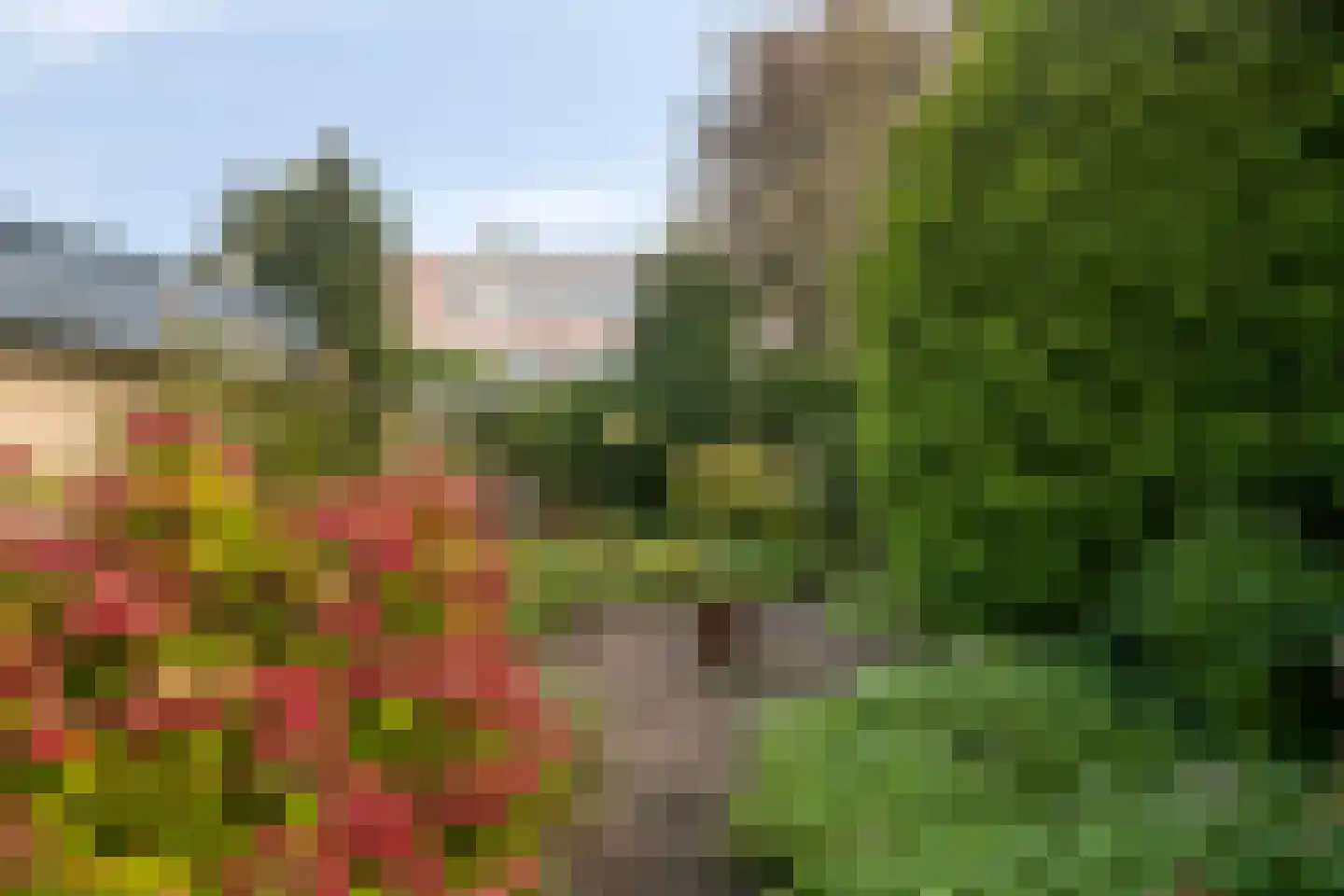 Lilastraat 36 Almere thumbnail 37