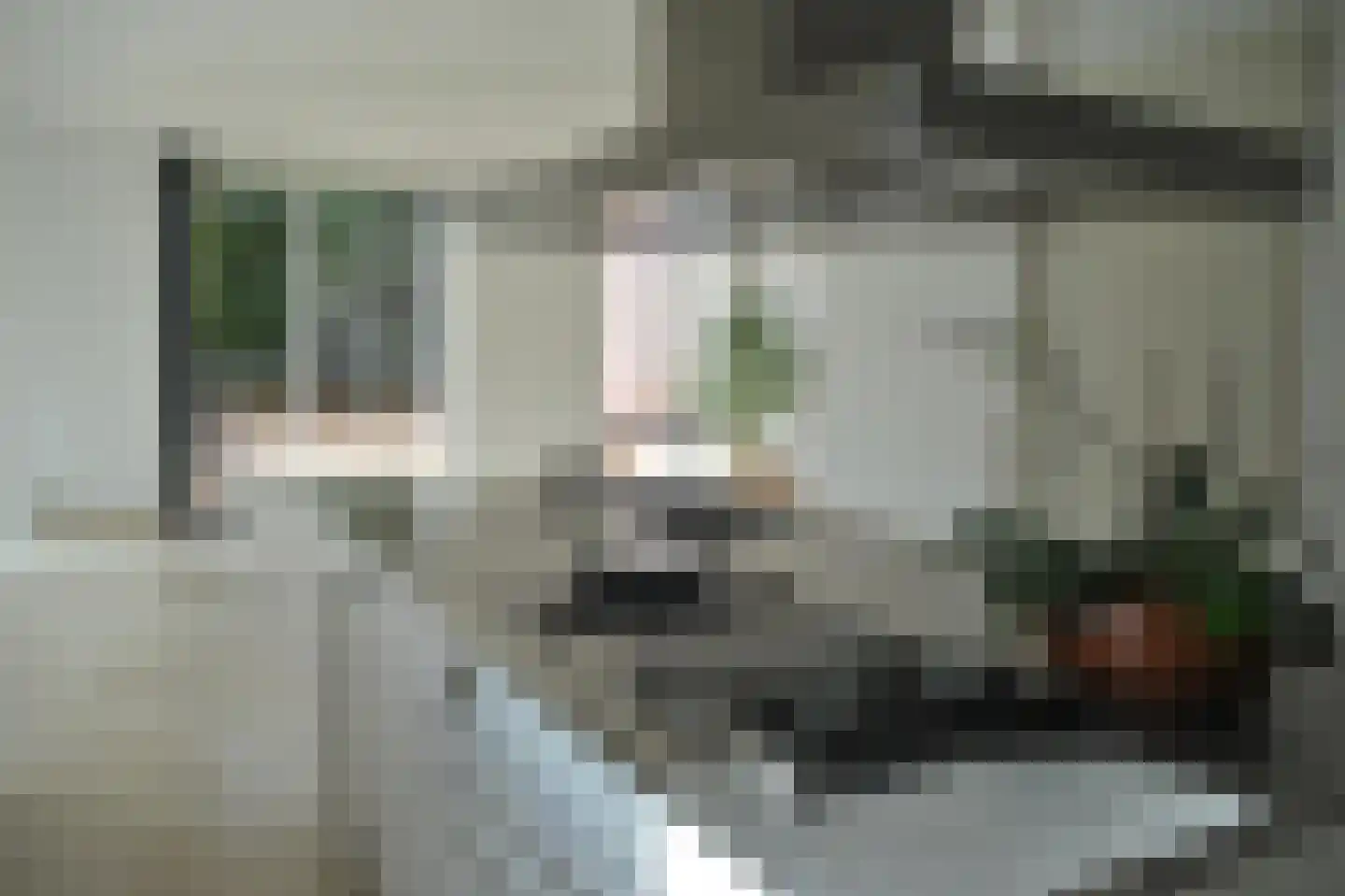 Lilian Ngoyiweg 160 Rotterdam thumbnail 18