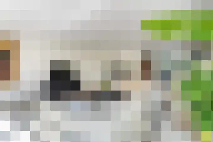 Lilian Ngoyiweg 176 Rotterdam thumbnail 11