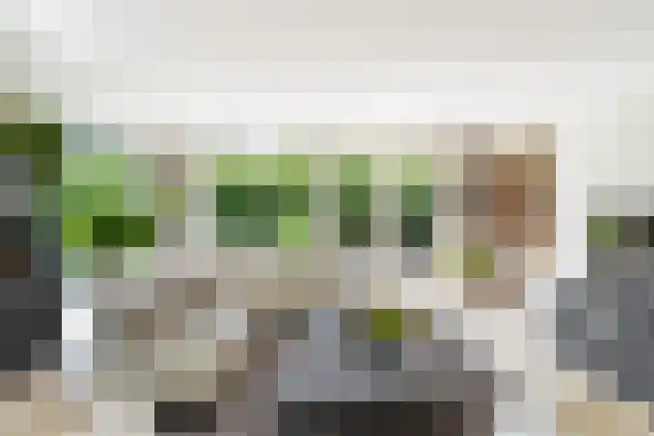 Lilian Ngoyiweg 176 Rotterdam thumbnail 12