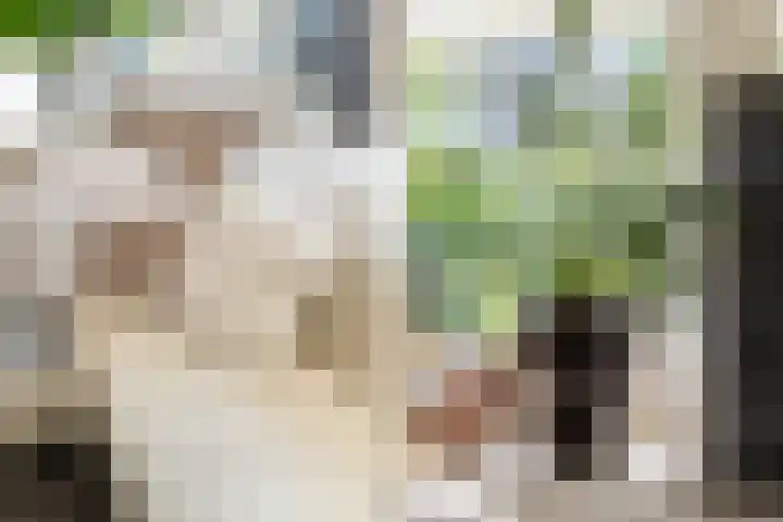 Lilian Ngoyiweg 176 Rotterdam thumbnail 13