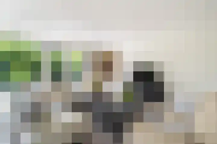 Lilian Ngoyiweg 176 Rotterdam thumbnail 14