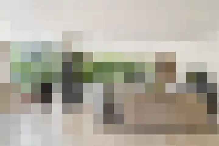 Lilian Ngoyiweg 176 Rotterdam thumbnail 15