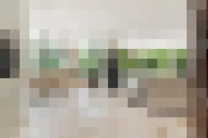 Lilian Ngoyiweg 176 Rotterdam thumbnail 17