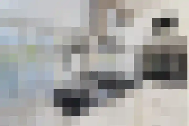 Lilian Ngoyiweg 176 Rotterdam thumbnail 18