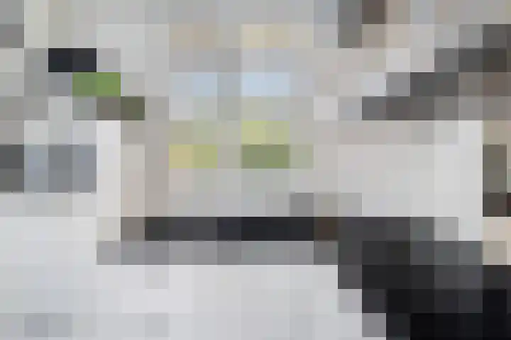 Lilian Ngoyiweg 176 Rotterdam thumbnail 20