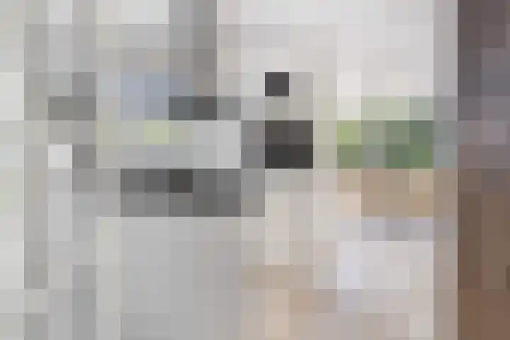 Lilian Ngoyiweg 176 Rotterdam thumbnail 23