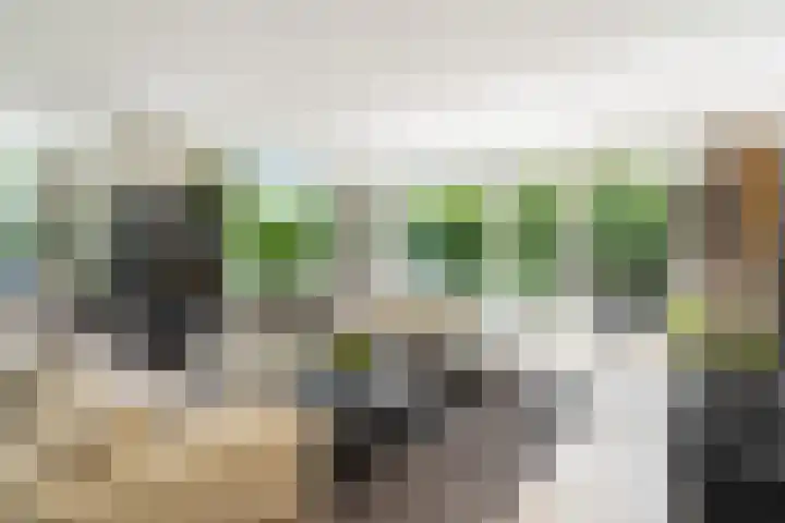 Lilian Ngoyiweg 176 Rotterdam thumbnail 25