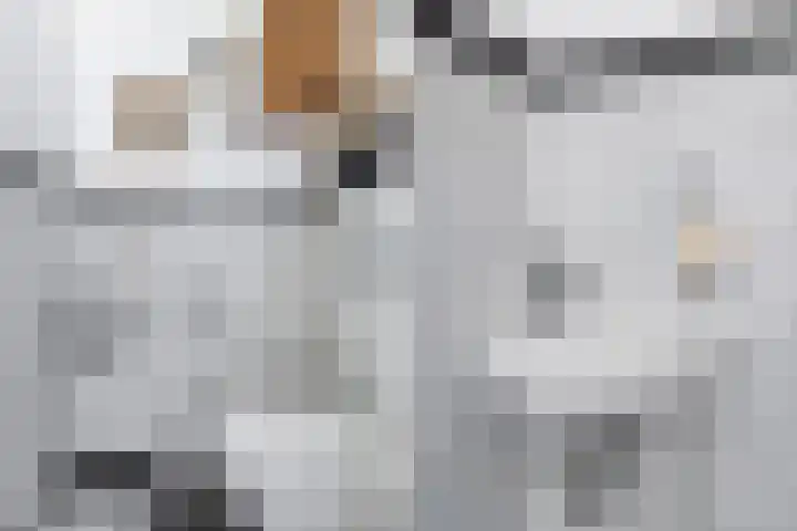 Lilian Ngoyiweg 176 Rotterdam thumbnail 27