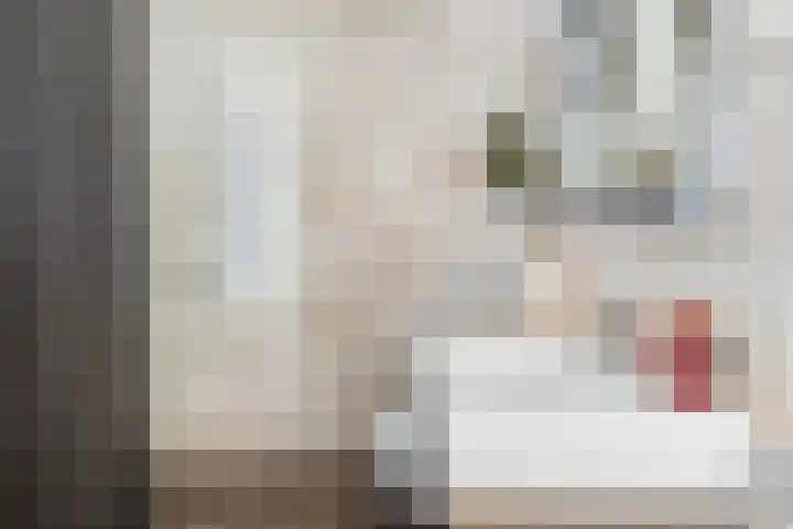 Lilian Ngoyiweg 176 Rotterdam thumbnail 29