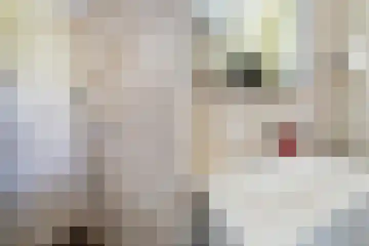 Lilian Ngoyiweg 176 Rotterdam thumbnail 31