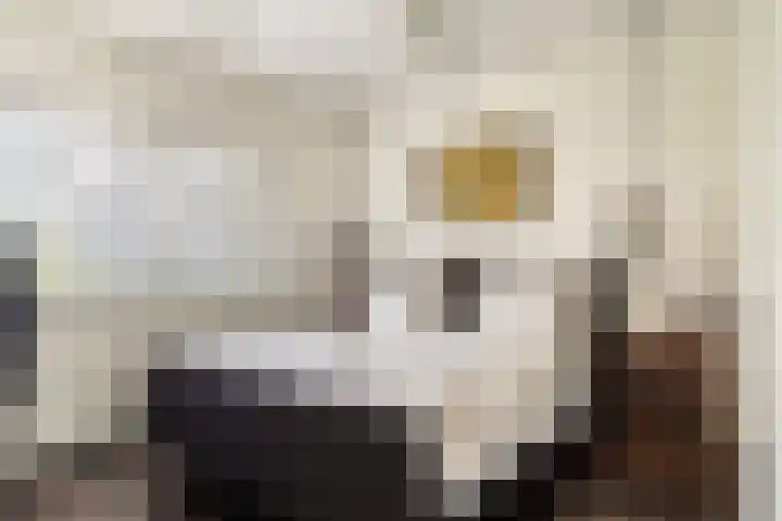 Lilian Ngoyiweg 176 Rotterdam thumbnail 37