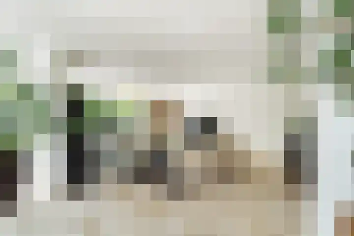 Lilian Ngoyiweg 176 Rotterdam thumbnail 4