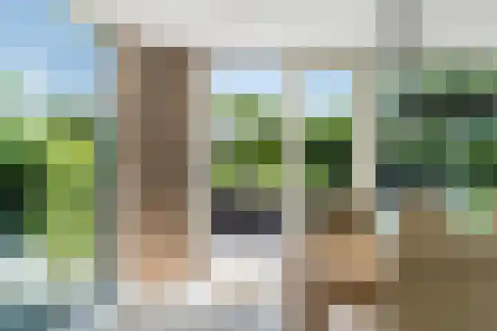 Lilian Ngoyiweg 176 Rotterdam thumbnail 44