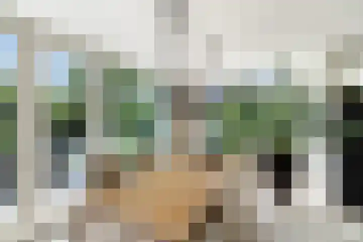 Lilian Ngoyiweg 176 Rotterdam thumbnail 5