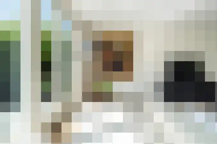 Lilian Ngoyiweg 176 Rotterdam thumbnail 8