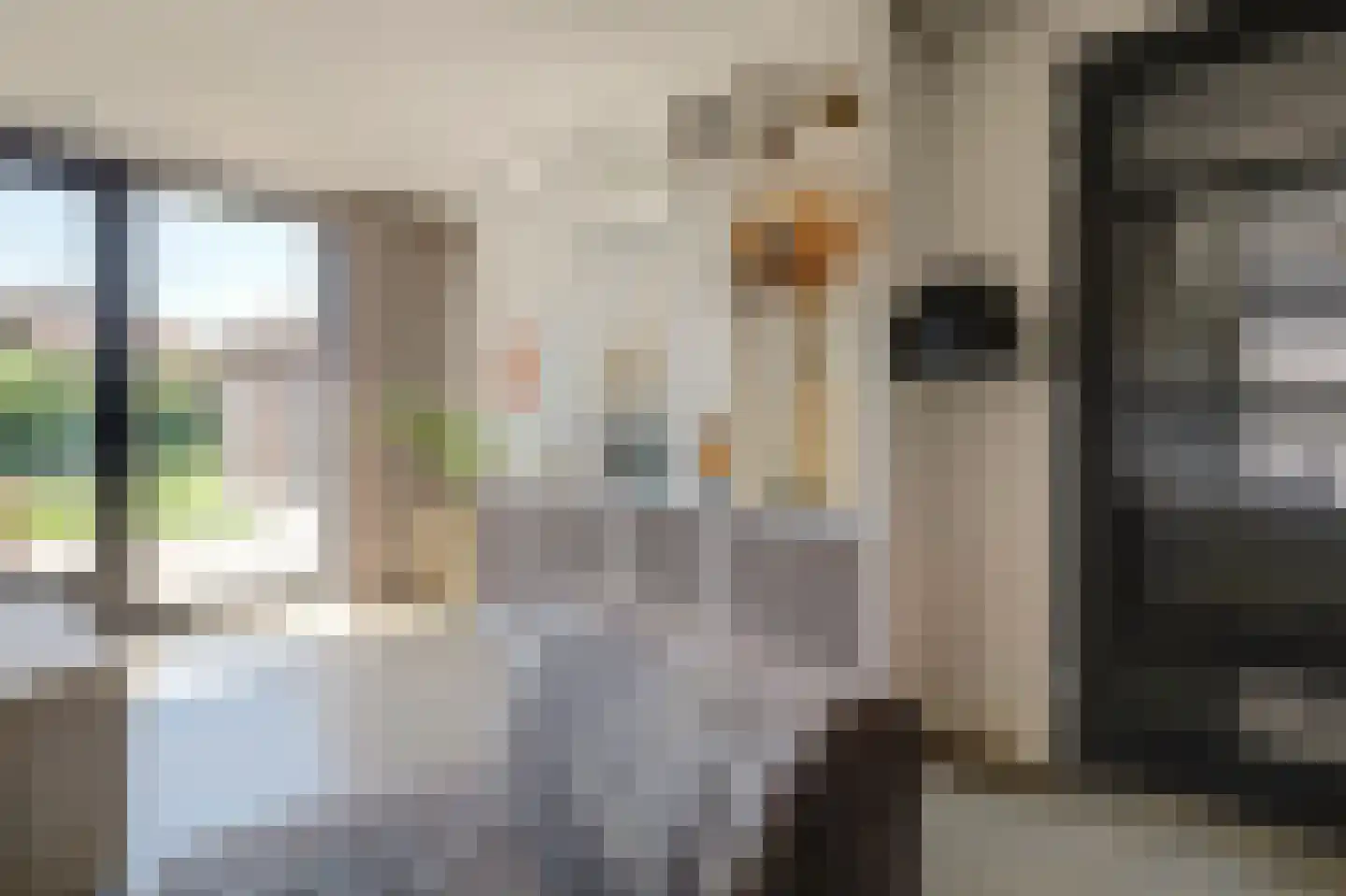 Liliane Brekelmansstraat 25 Vlijmen thumbnail 14