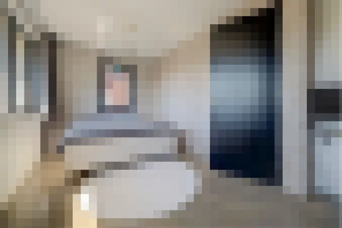 Liliane Brekelmansstraat 25 Vlijmen thumbnail 22