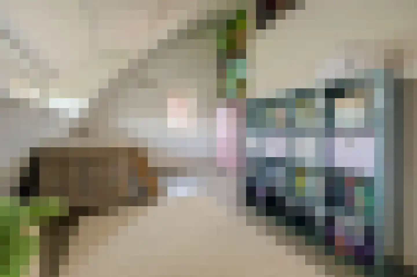 Liliane Brekelmansstraat 25 Vlijmen thumbnail 36