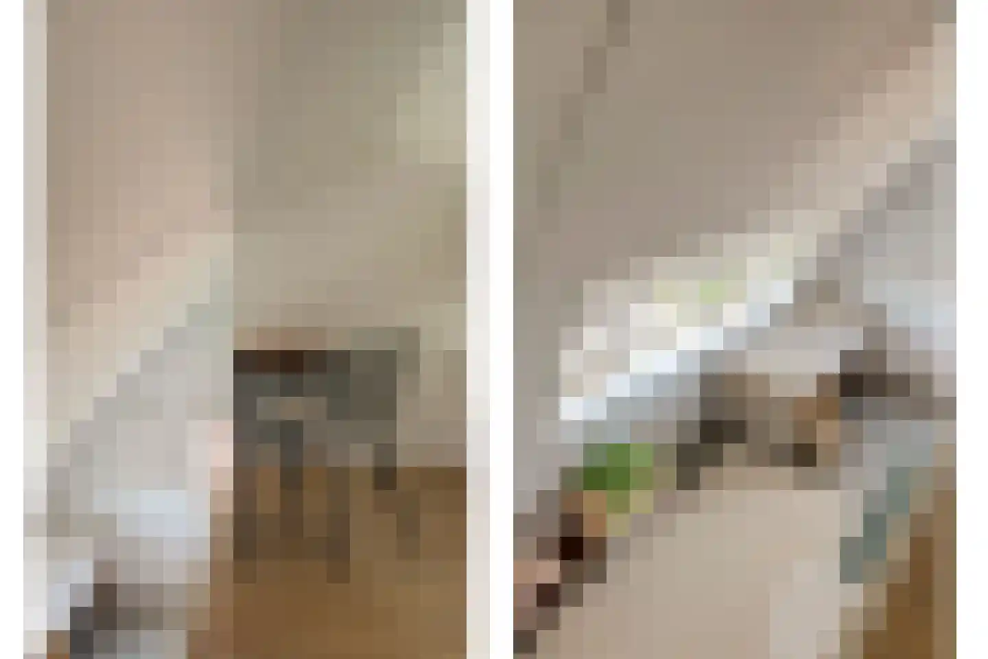 Liliane Brekelmansstraat 25 Vlijmen thumbnail 37