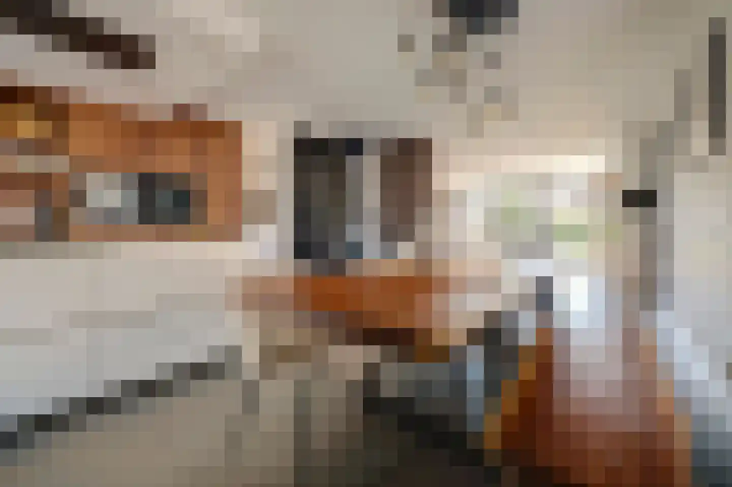 Liliane Brekelmansstraat 25 Vlijmen thumbnail 4