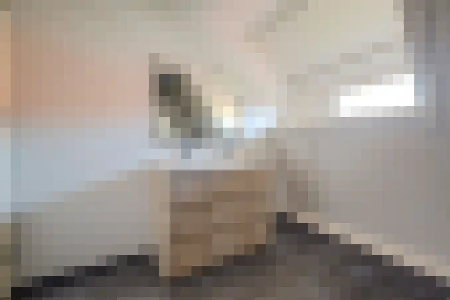 Liliane Brekelmansstraat 25 Vlijmen thumbnail 40