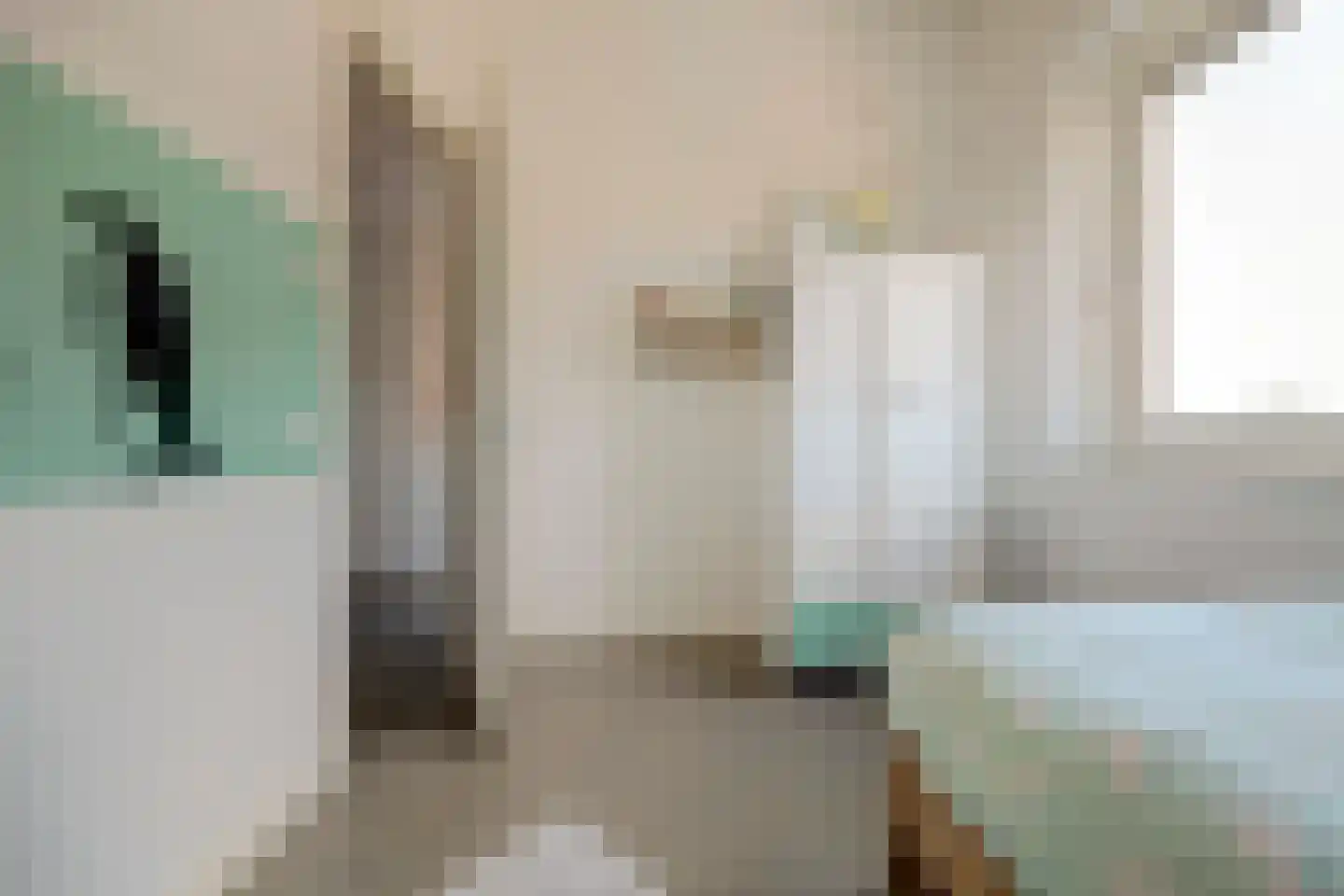 Liliane Brekelmansstraat 25 Vlijmen thumbnail 42