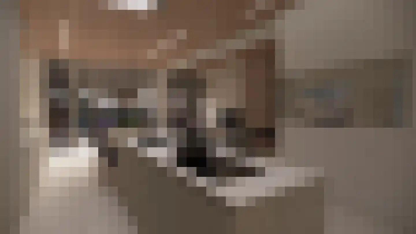 Lilienthalplein 11 Stadskanaal thumbnail 7
