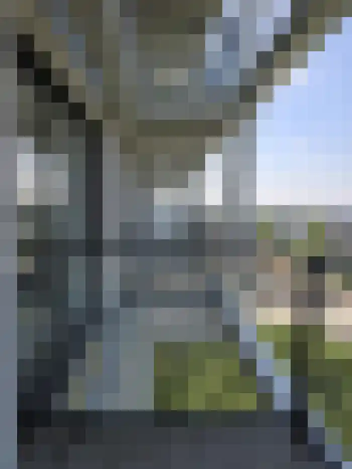 Limanstraat 125 Tilburg thumbnail 10