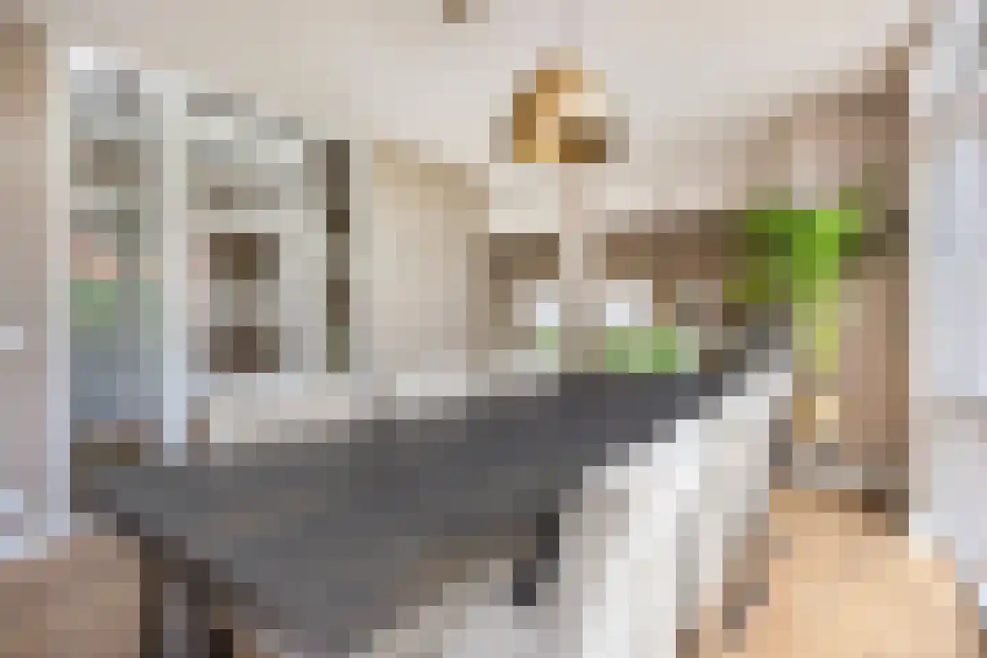 Limbahout 42 Zoetermeer thumbnail 12
