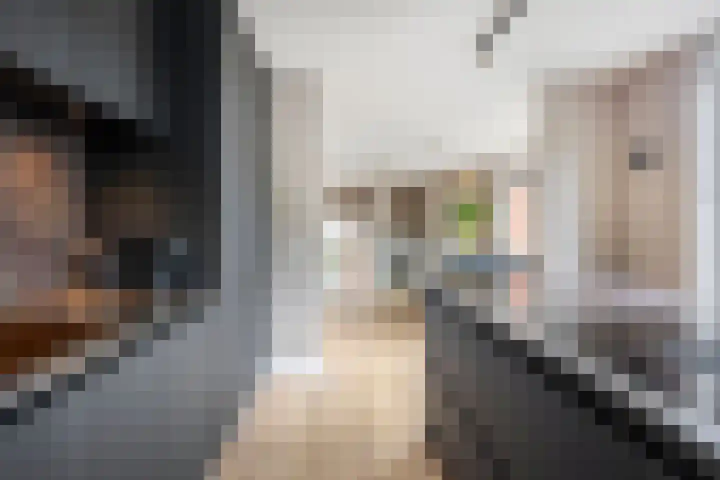 Limbahout 42 Zoetermeer thumbnail 14